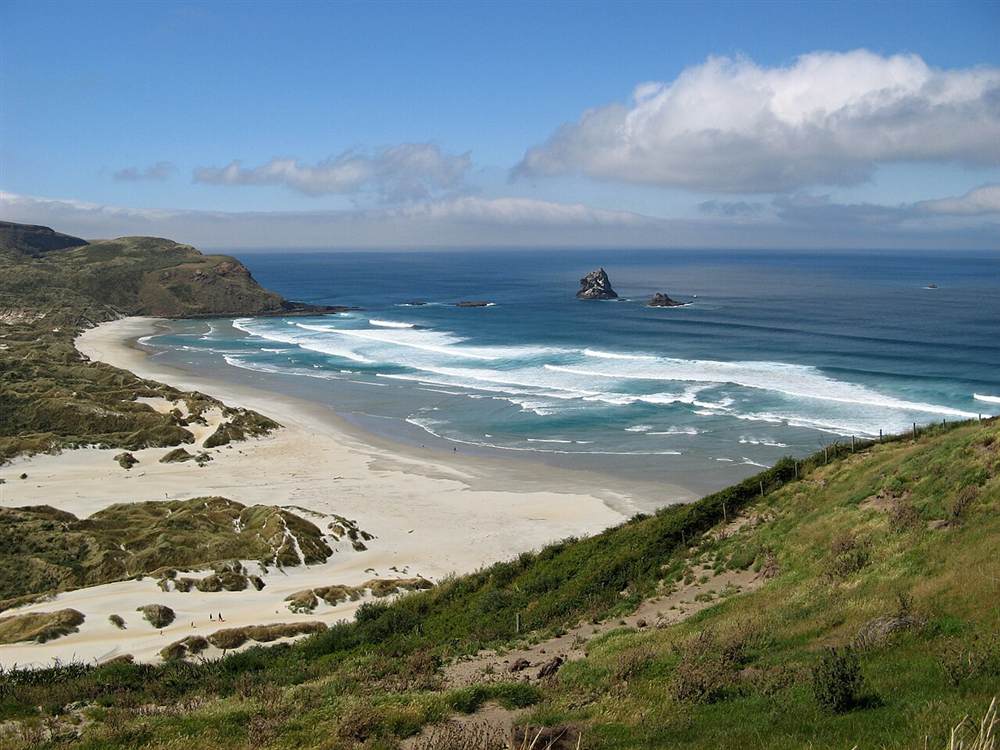 Dunedin